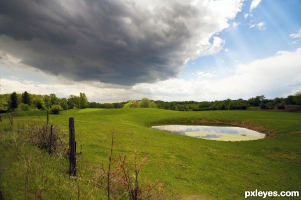 Cow field pond